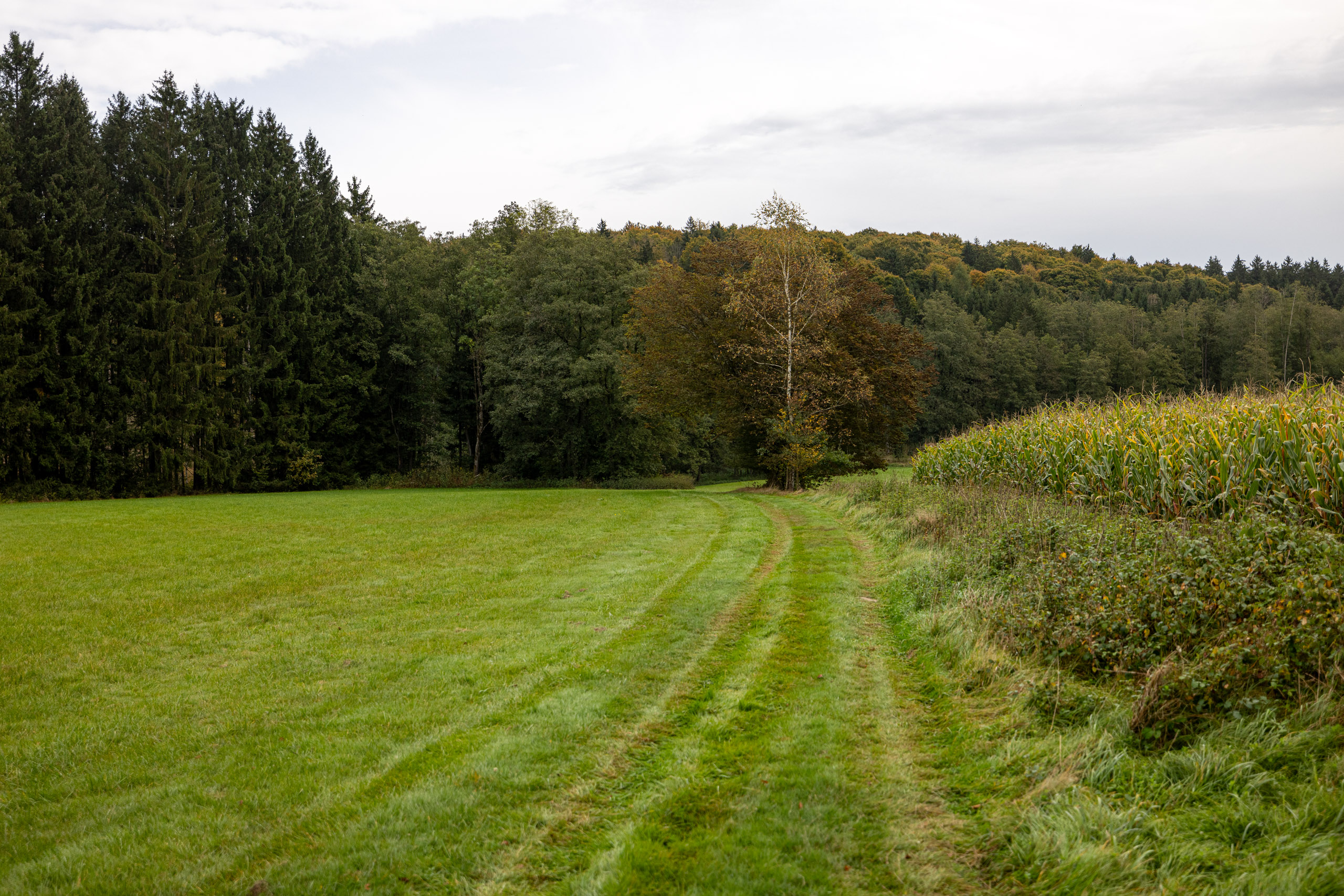 20231014114354 R5D 3990